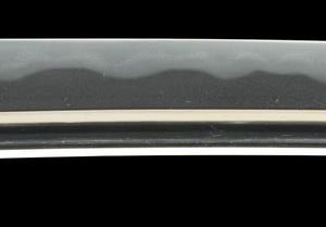 Motoyasu wakizashi with Nozarashi Koshirae Nbthk Hozon