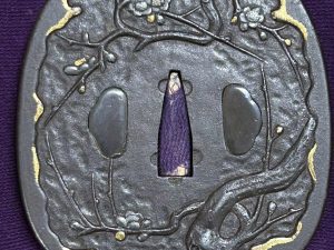 Toryusai Tsuba with NBTHK Certificate