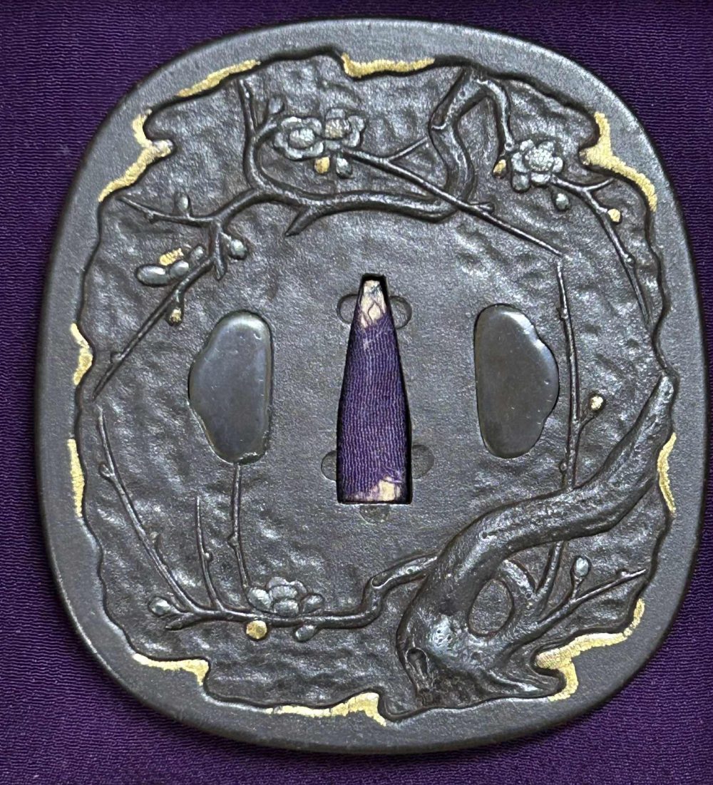 Toryusai Tsuba with NBTHK Certificate