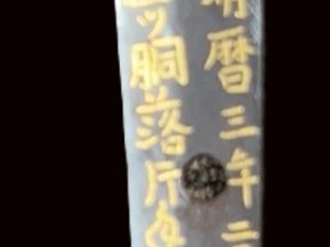 A Rare Kaneshige Wakizashi with Double One Handed Gold Test. NBTHK Tokubetsu Hozon Certificate